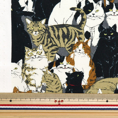 [From quantity 5] Fabric 『Oxford Animal cat pattern 1c number color OX41401-1C]