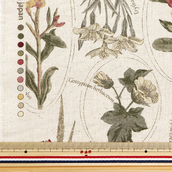 [From quantity 5] Fabric "Cotton hemp canvas botanical picture book Pink Wine Red CLPLEN-PKRE"
