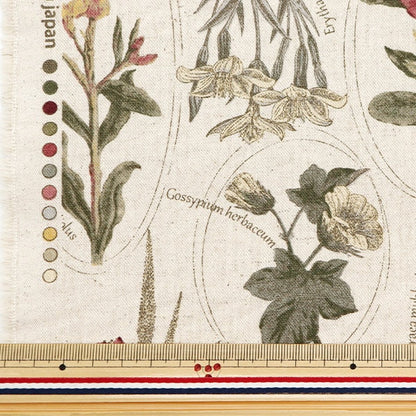 [From quantity 5] Fabric "Cotton hemp canvas botanical picture book Pink Wine Red CLPLEN-PKRE"