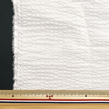 [From quantity 5] Fabric "Wavy Sheer Salt Reduced White Salt-176WH"