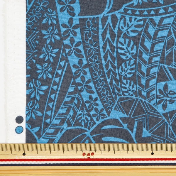 [From quantity 5] Fabric "T/C Hawaii Amon Lint Monstera Black x Blue 205042-14"