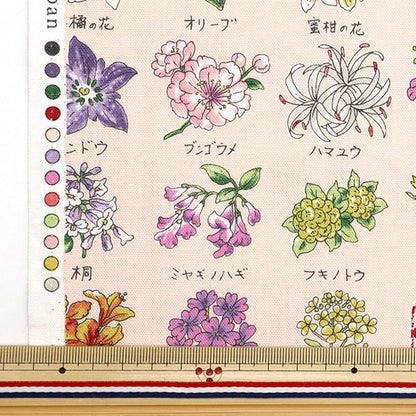 [來自數量5] 織物 『牛津布 本地系列花粉紅色YPA-51000-1B] KOKKA