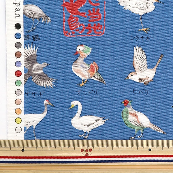 [來自數量5] 織物 『牛津布 本地系列鳥藍色YPA-51000-2D] KOKKA