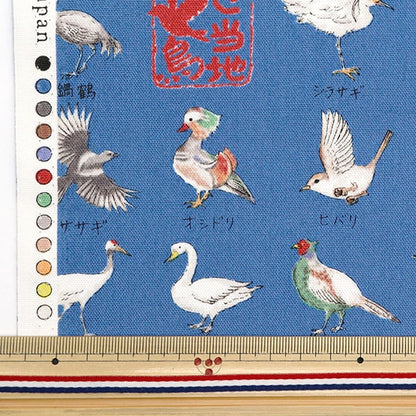 [來自數量5] 織物 『牛津布 本地系列鳥藍色YPA-51000-2D] KOKKA