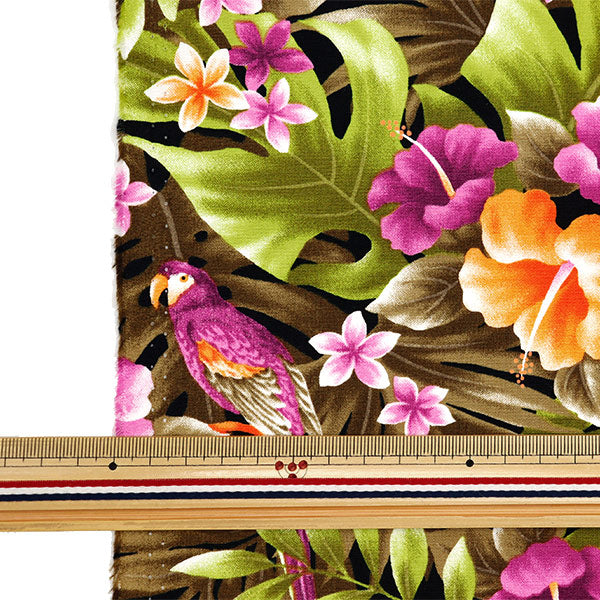 [From quantity 5] Fabric "Broad Hawaii Amplint Monstera and Bird Brown 281-C-BR"