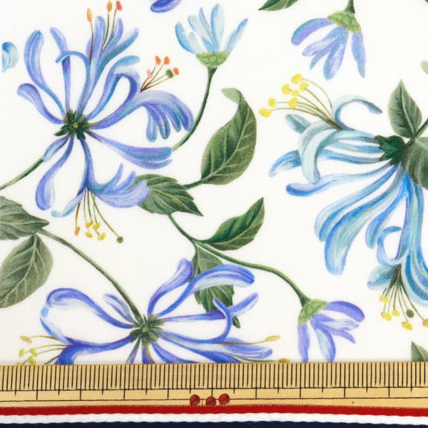 [來自數量5] 織物 “自由結構 塔納草坪 蜂蜜袋舞3634233-24cu] Liberty Japan