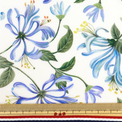 [來自數量5] 織物 “自由結構 塔納草坪 蜂蜜袋舞3634233-24cu] Liberty Japan