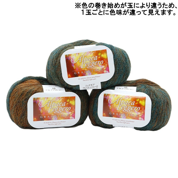 秋冬紗線 『羊駝毛聯盟登錄113顏色“ Richmore Rich More