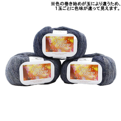 秋冬紗線 『羊駝毛聯盟登錄114顏色“ Richmore Rich More