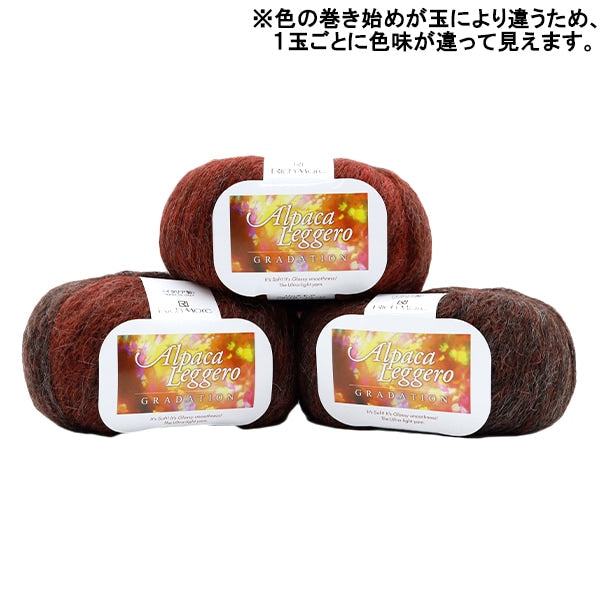 秋冬紗線 『羊駝毛聯盟登錄116顏色“ Richmore Rich More