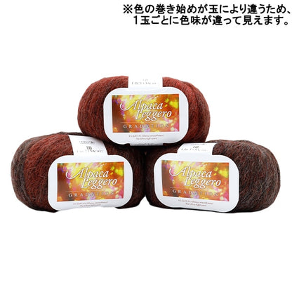 秋冬紗線 『羊駝毛聯盟登錄116顏色“ Richmore Rich More