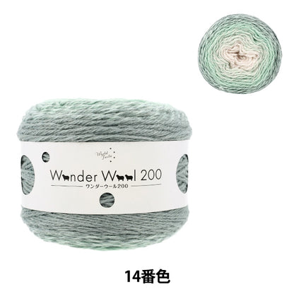 秋冬纱线 “奇迹羊毛200颜色14 JX-211A" 世界节日[Yuzawaya原来的】