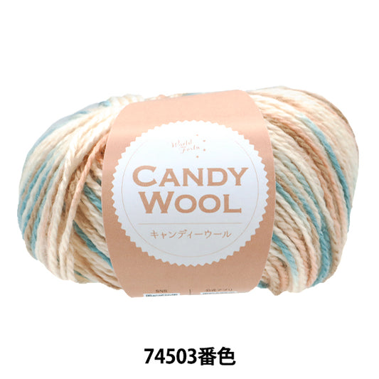 秋冬纱线 “糖果羊毛颜色74503”世界Festa [Yuzawaya原来的】