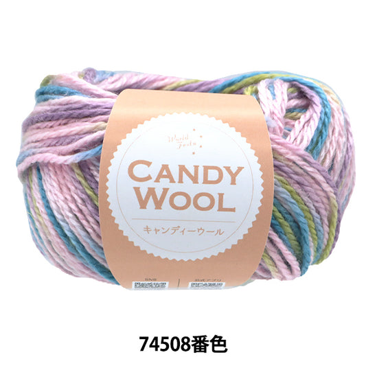 秋冬纱线 “ Candy Wool Color 74508”世界Festa [Yuzawaya原来的】