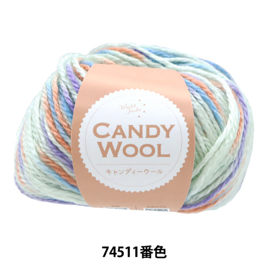 秋冬纱线 “ Candy Wool Color 74511”世界Festa [Yuzawaya原来的】