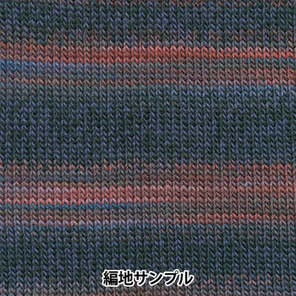 秋冬纱线 “化妆100 1030颜色” Olympus