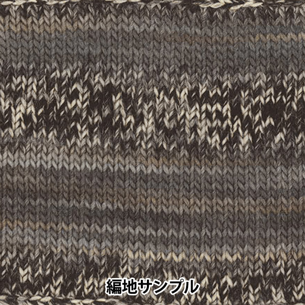 秋冬纱线 “化妆100 1032颜色” Olympus