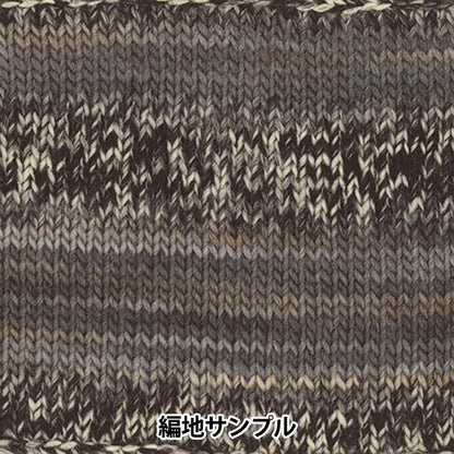 秋冬纱线 “化妆100 1032颜色” Olympus