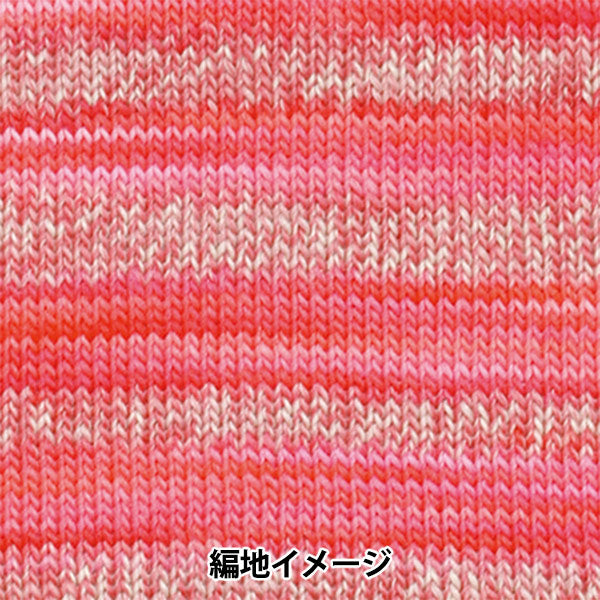 秋冬纱线 “化妆1004号。” Olympus