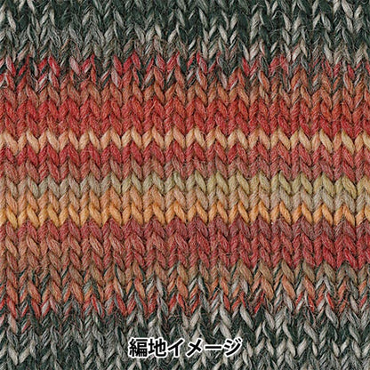 秋冬纱线 “化妆100 1035颜色” Olympus