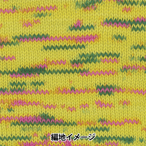 秋冬纱线 "制作袜子Deux（Make Make Makeup Socks du）106颜色 Olympus