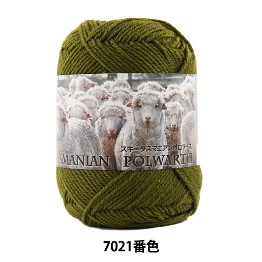 秋冬纱线 "滑雪塔斯马尼亚polwarth 7021颜色“滑雪滑雪纱