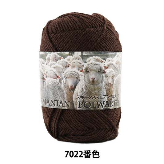 秋冬纱线 "滑雪塔斯马尼亚polwarth 7022颜色“滑雪滑雪纱