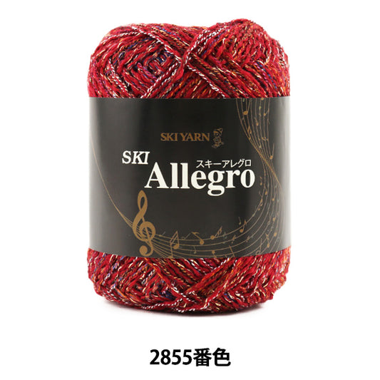 秋冬纱线 "滑雪Allegro（滑雪Allegro）2855颜色]滑雪滑雪纱