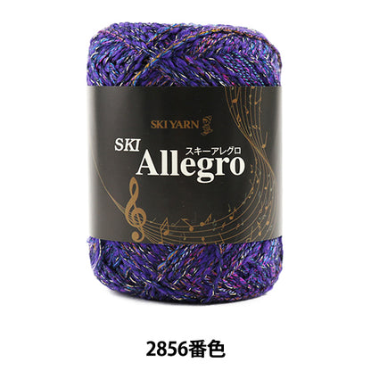 秋冬纱线 “滑雪Allegro 2856数字”滑雪滑雪纱