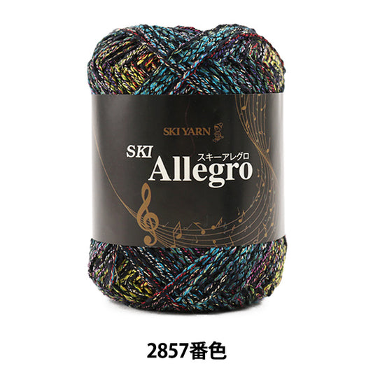 秋冬纱线 "滑雪Allegro（滑雪Allegro）2857颜色]滑雪码滑雪纱