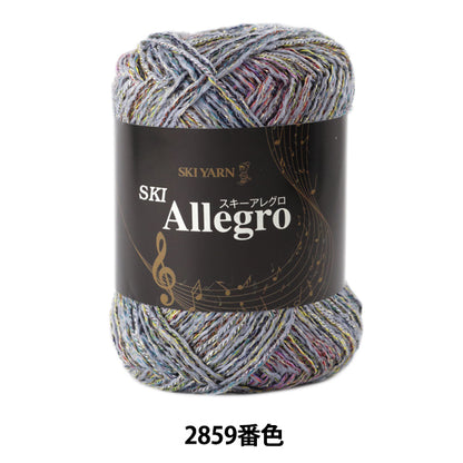 秋冬纱线 "滑雪Allegro（滑雪Allegro）2859颜色]滑雪滑雪纱