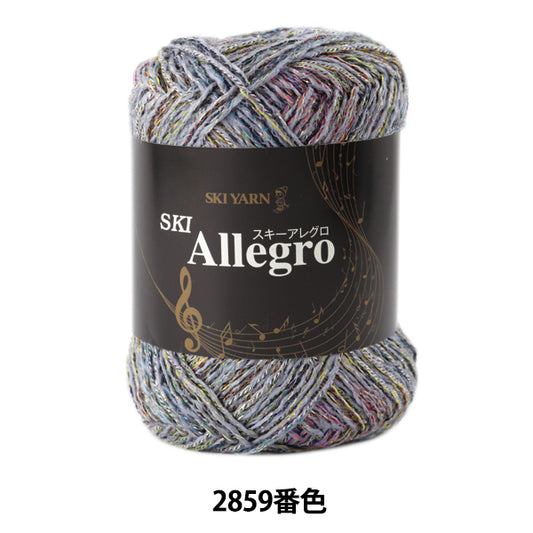 秋冬纱线 "滑雪Allegro（滑雪Allegro）2859颜色]滑雪滑雪纱