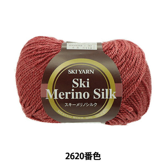 秋冬纱线 "滑雪美利奴丝2620彩色滑雪滑雪纱