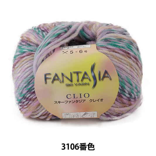 秋冬纱线 “ Fantasia Clio 3106。”滑雪纱