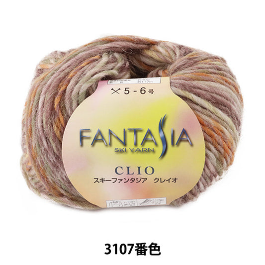 秋冬纱线 “ Fantasia Clio 3107。”滑雪纱