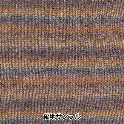 秋冬纱线 "滑雪洛贝（滑雪片）8101颜色]滑雪码滑雪纱