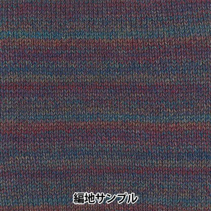 秋冬纱线 "滑雪叶（滑雪叶）8105颜色]滑雪码滑雪纱