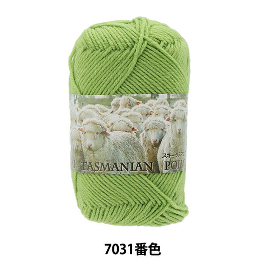 秋冬纱线 "滑雪塔斯马尼亚polwarth 7031颜色“滑雪滑雪纱