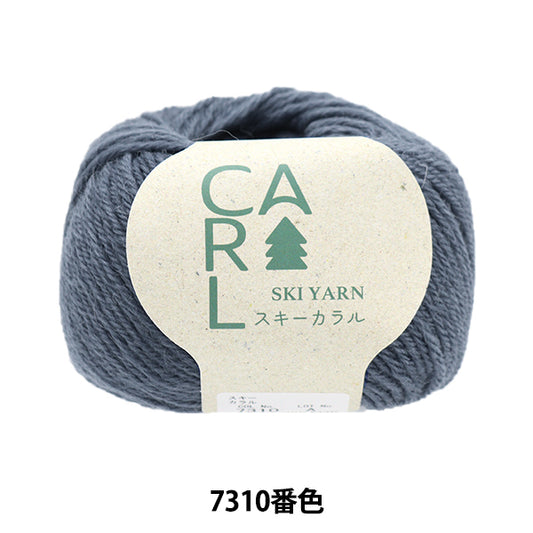 秋冬纱线 “滑雪Caral 7310颜色”滑雪滑雪纱