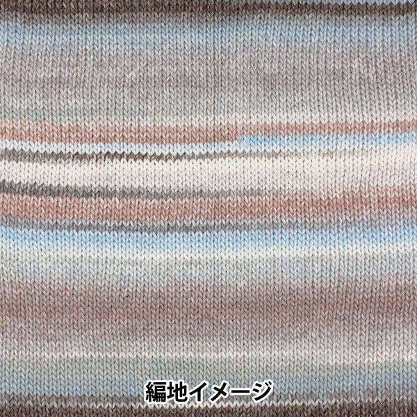 秋冬纱线 “ piecho 701颜色”滑雪滑雪纱