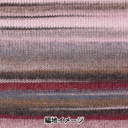 秋冬纱线 “馅饼 - 摄影702颜色”滑雪滑雪纱