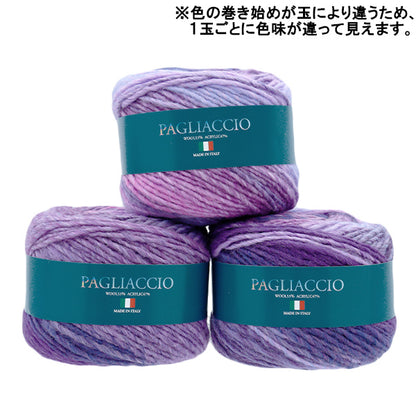 秋冬纱线 “ Piecho 703颜色”滑雪纱