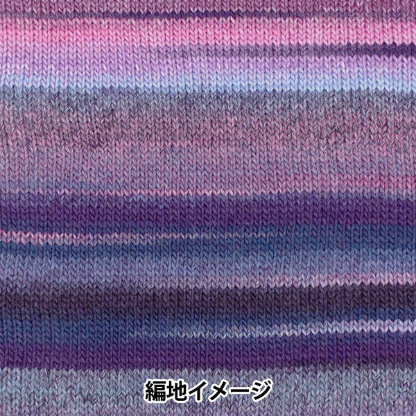 秋冬纱线 “ Piecho 703颜色”滑雪纱