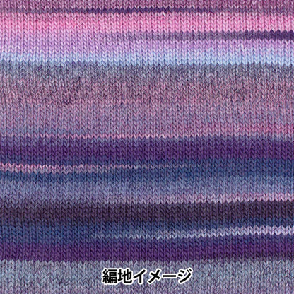 秋冬纱线 “ Piecho 703颜色”滑雪纱