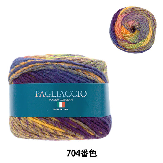 秋冬纱线 “ Piecho 704th颜色”滑雪滑雪纱