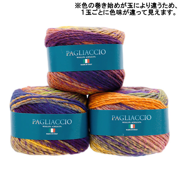 秋冬纱线 “ Piecho 704th颜色”滑雪滑雪纱