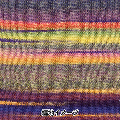 秋冬纱线 “ Piecho 704th颜色”滑雪滑雪纱