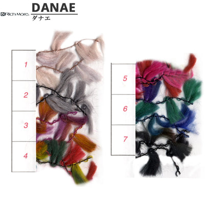 秋冬纱线 "Danae（Danae）第五颜色] Richmore Richmore