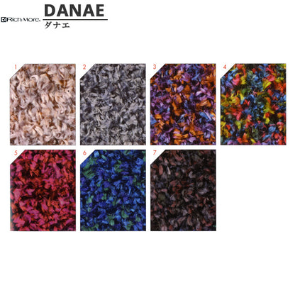 秋冬纱线 "Danae（Danae）第五颜色] Richmore Richmore