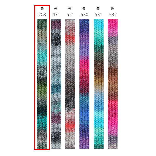 秋冬纱线 “丝绸花园208颜色” Noro Hideaku Noro